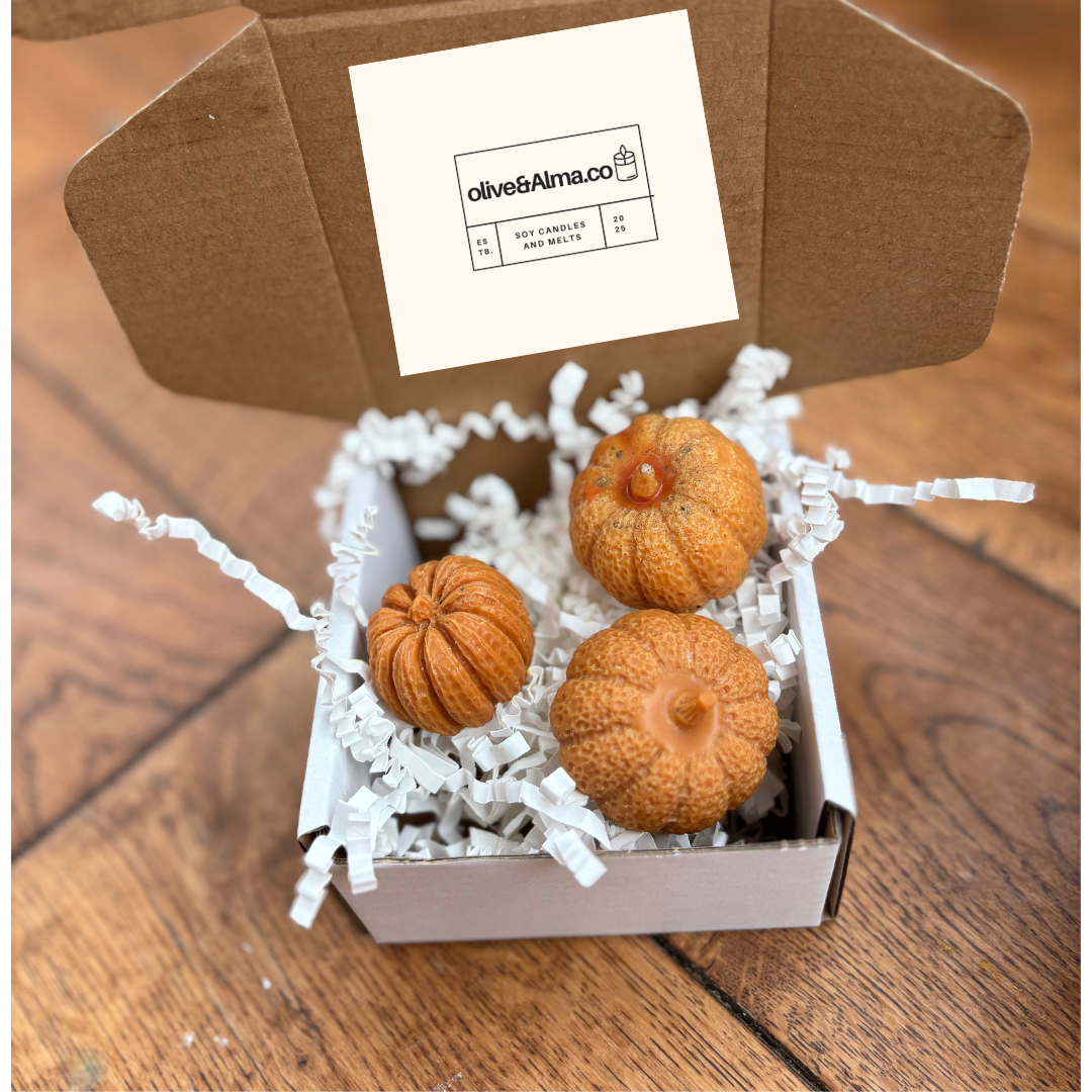 3 x large pumpkin wax melts, pumpkin spice scent, strong autumn scent