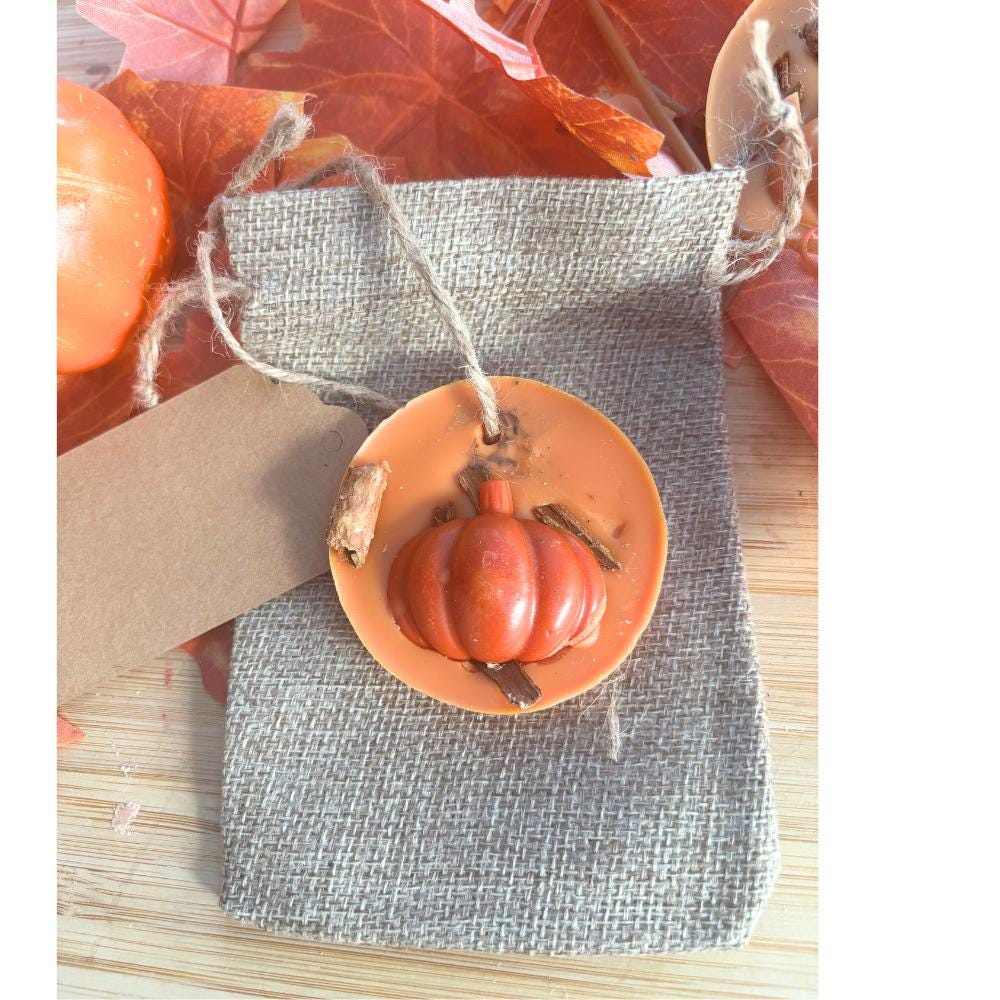 1x Scented Soy Wax Aroma Tablet: Pumpkin Spice, air freshener and wax melt