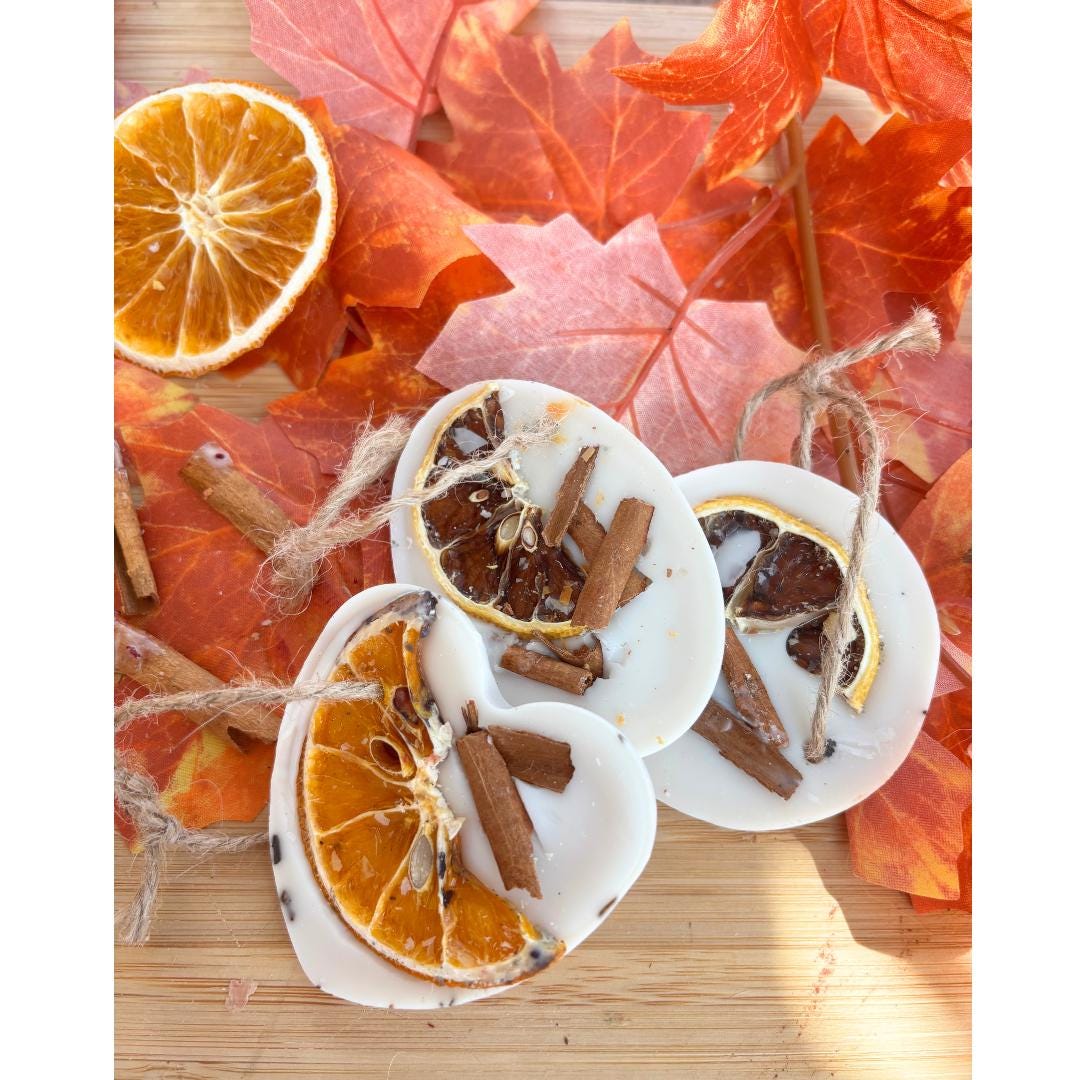 1x Scented Soy Wax Aroma Tablet: Cinnamon Spice, air freshener and wax melt